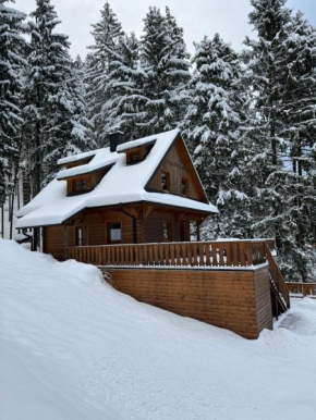 Chata na přehradě s vlastním wellness, Horni Becva